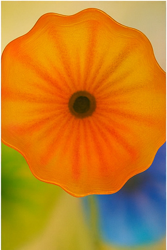 베타 구역 모험